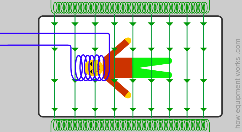 blue_head_coil