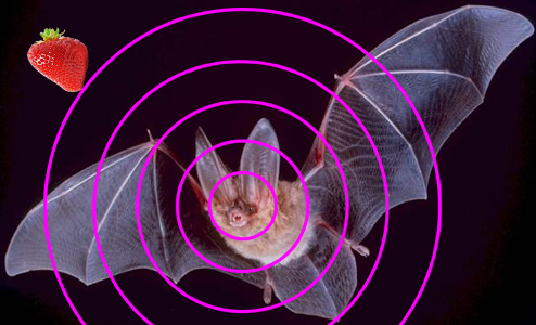 bright_bat_emission