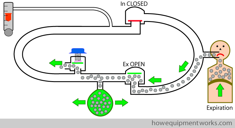 carbon_early_expiration