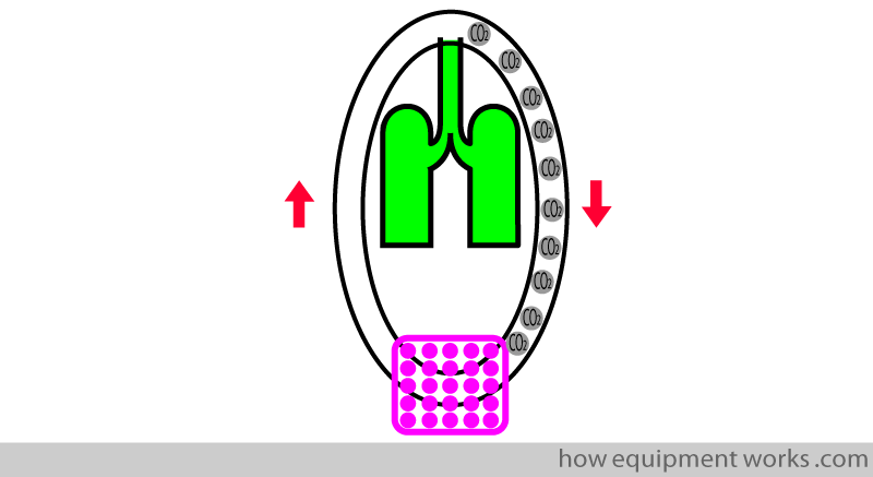 circle_exp