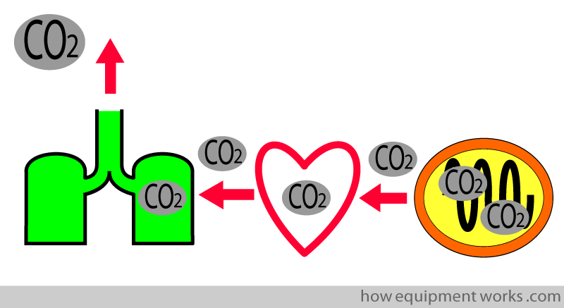 co2_cascade