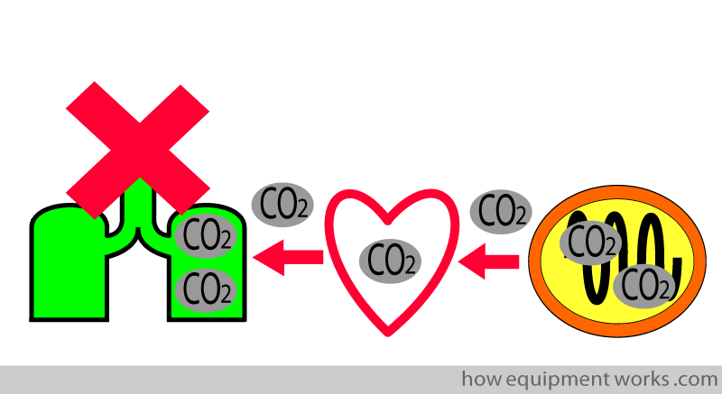 co2_x
