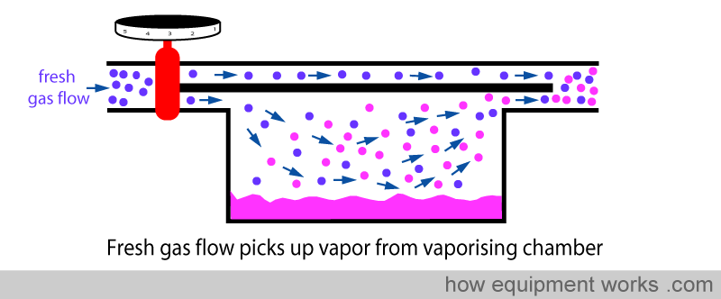 fgf_picks_up