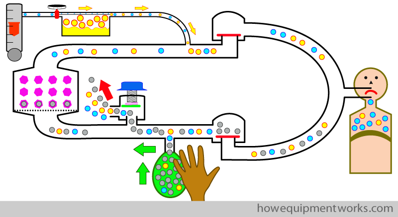 first_squeeze