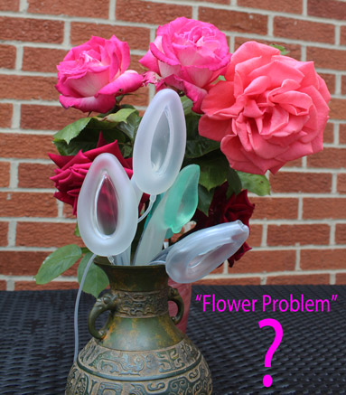 flower_problem