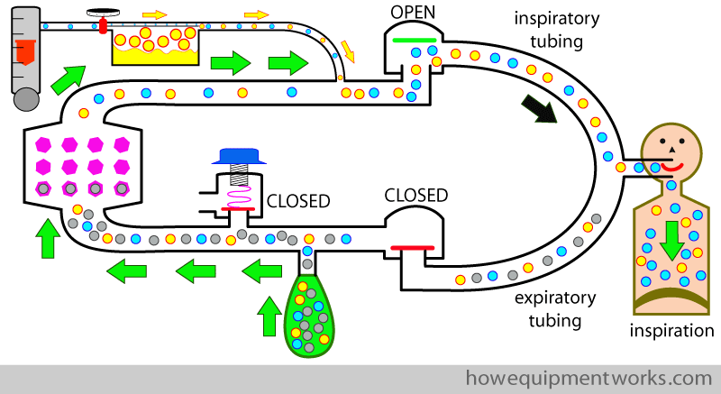 insp_summary