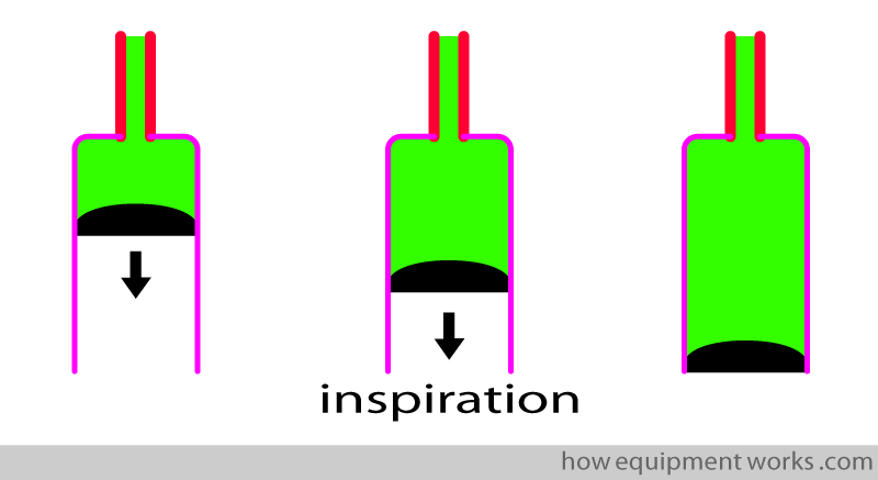 insp_syringes