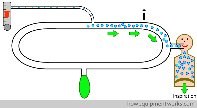 inspi_limb