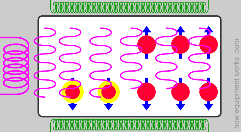 pink_blank_nuclei