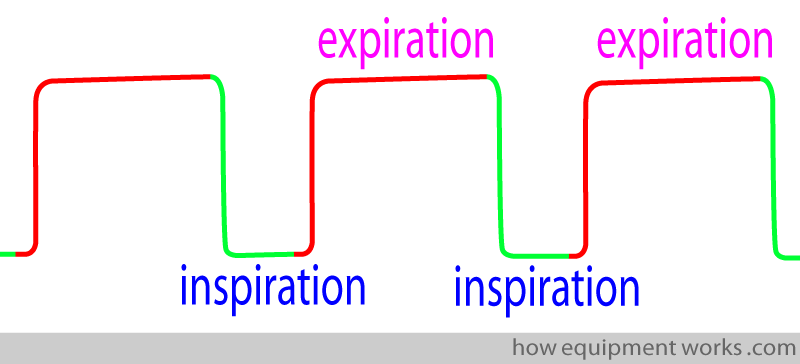 real_in_exp