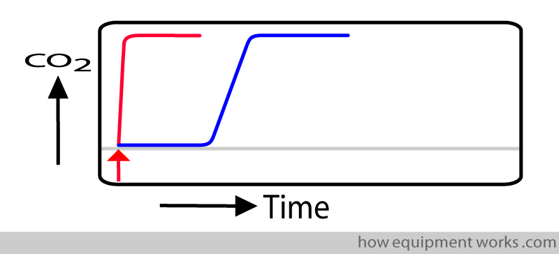 real_response