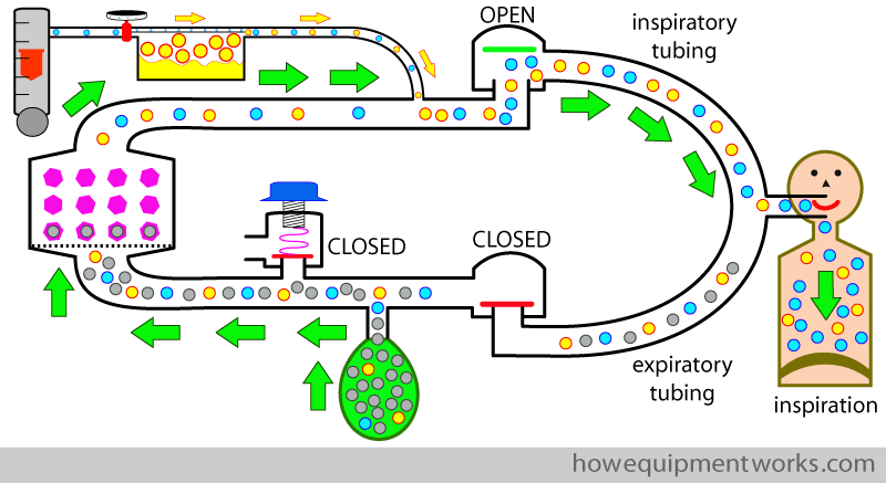 rptt_recap_spon_insp