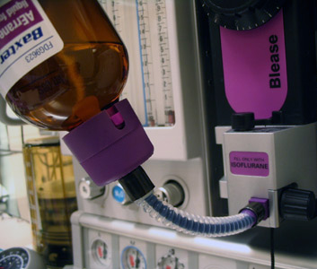 safe_filling