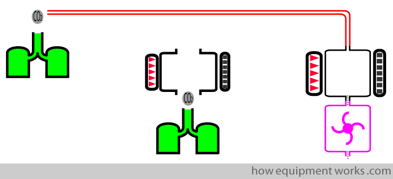 side_main_comp
