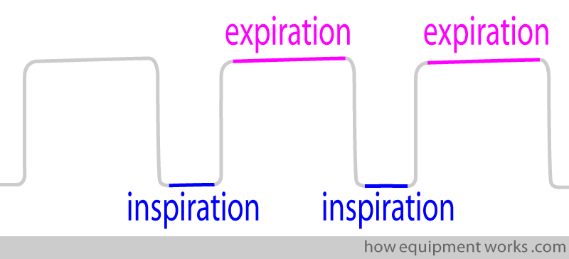 simple_ins_exp
