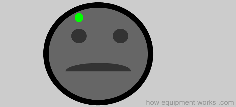 small_brain