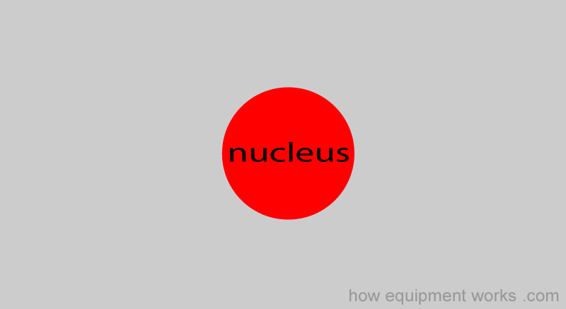 solo_nucleus