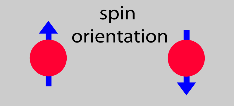 spin_orientation