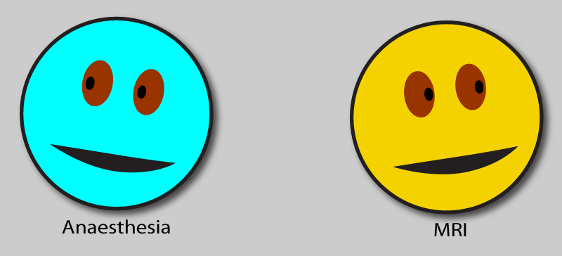 the_couple