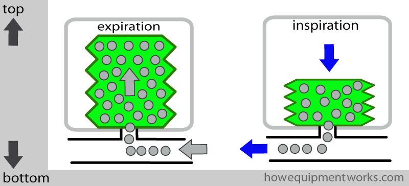 top_bottom