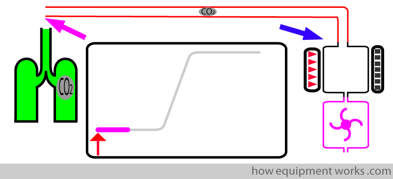 transit_mid