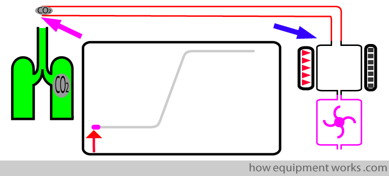 transit_start