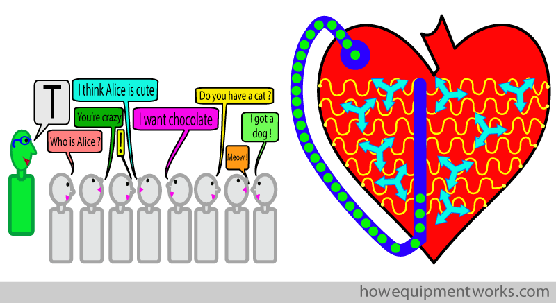 claas_and_heart