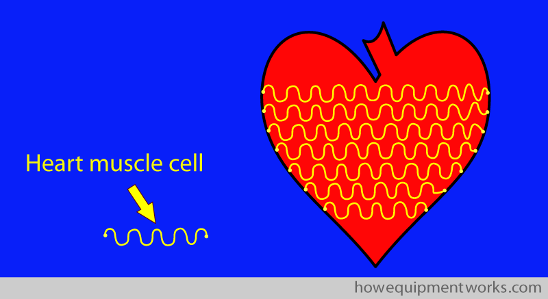 yellow_squiggly_heart_m